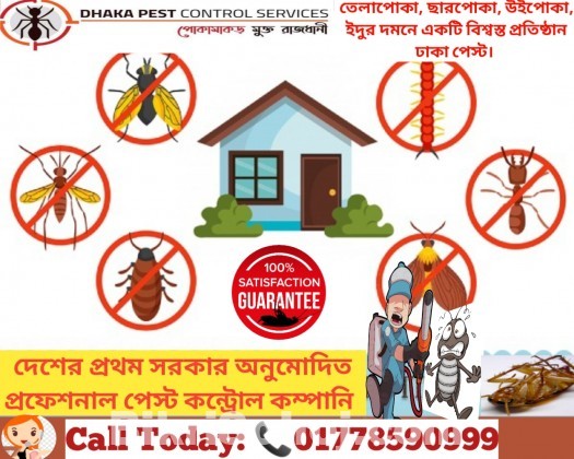 Pest Control Service Dhaka Bangladesh